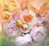 Roses & Peonies - Diamond Painting Kit
